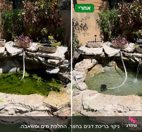 בריכת נוי לפני ואחרי ניקוי